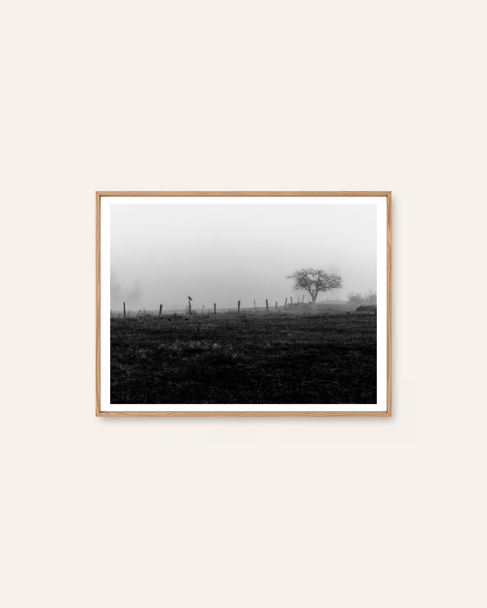Moody 19 - The Crow by Patrik Wennerlund, a photographic Scandinavian art print