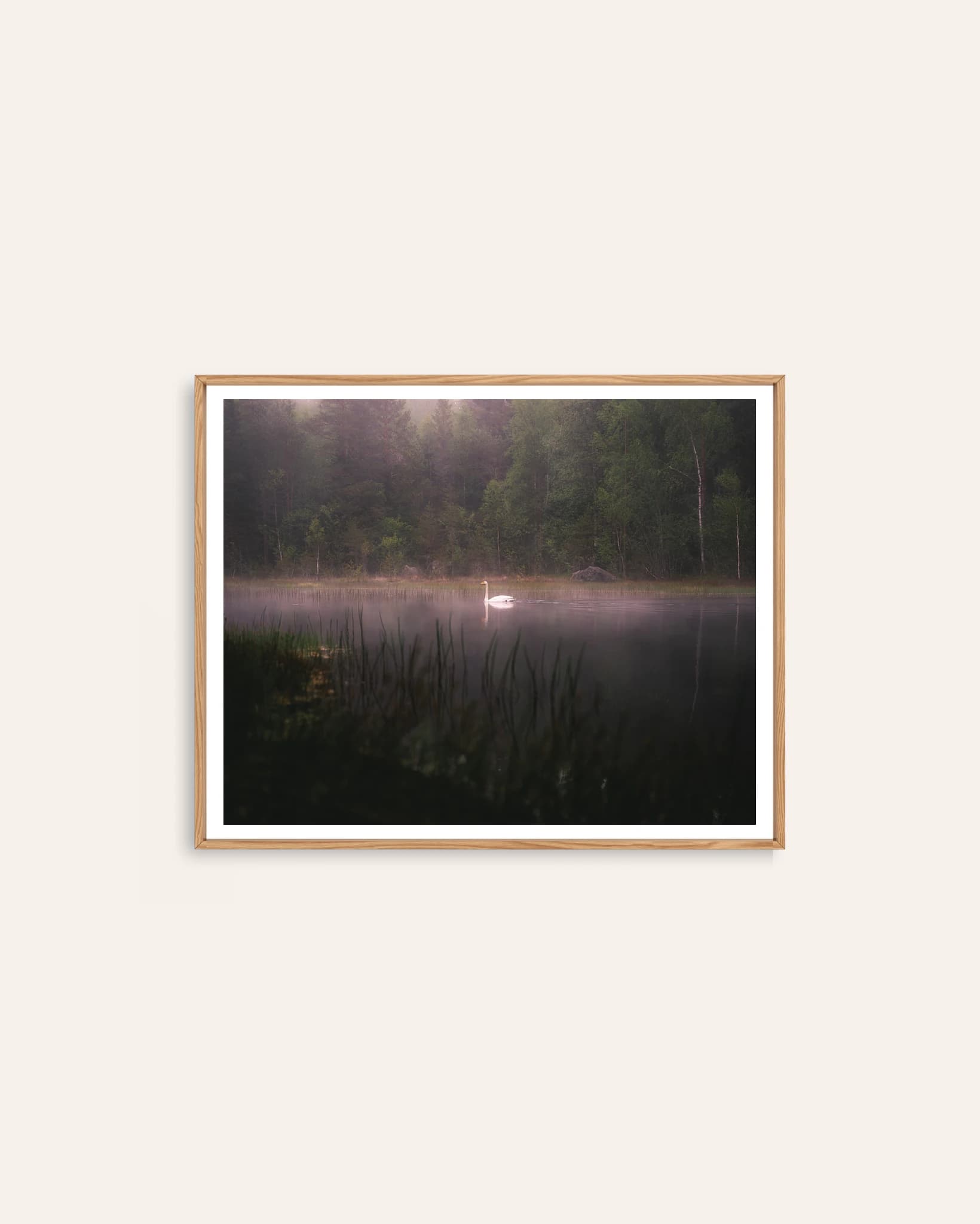 Swan on Still Water by Markus Naarttijärvi, a photographic Scandinavian art print