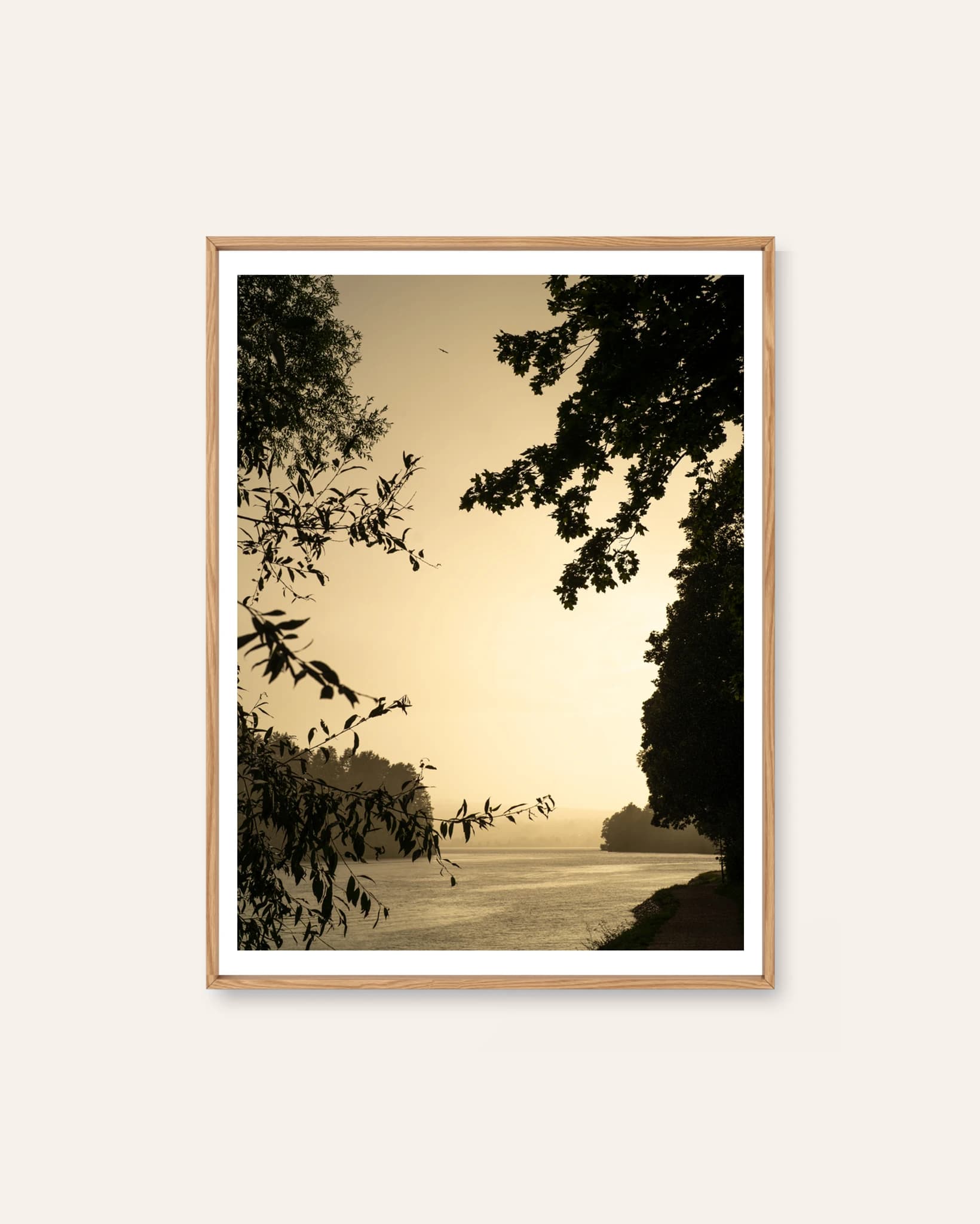 Through the Willows by Markus Naarttijärvi, a photographic Scandinavian art print